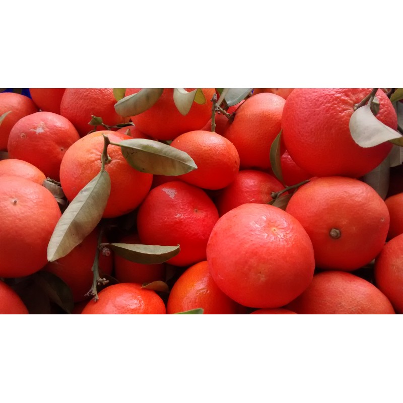 CLEMENVILLAS caja 10 kg