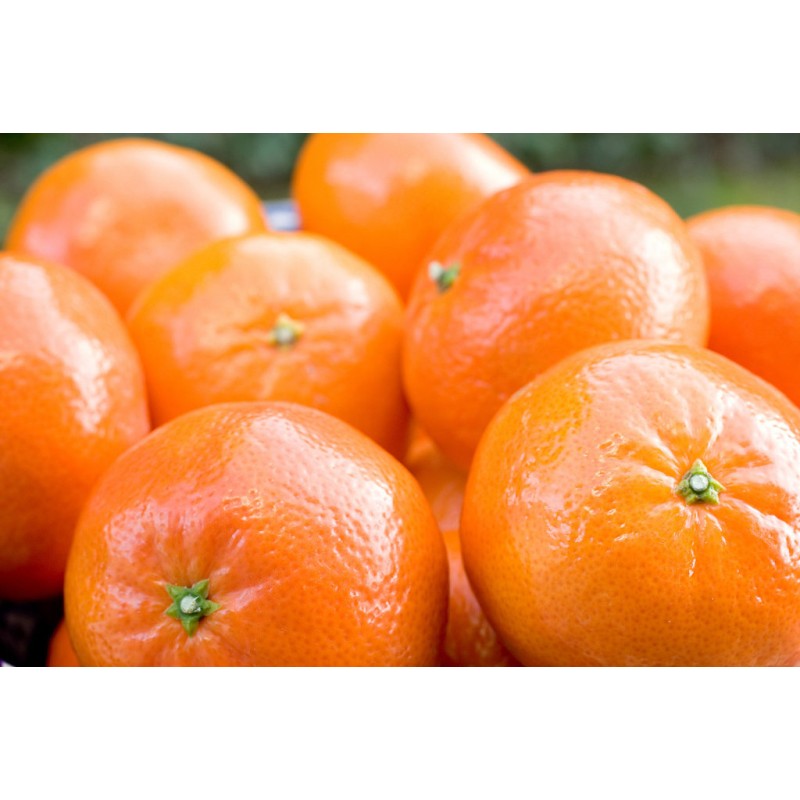 Caja mixta Navelinas + mandarinas